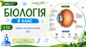 Зорова сенсорна система. Око
