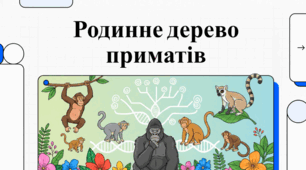 Світ приматів: еволюція, біорізноманіття та календар подій