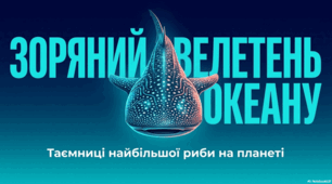 Китова акула: величний гігант океану під людським тиском