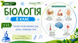 Сенсорні системи рівноваги, руху, дотику, температури, болю. Презентація, інфографіка, робочий аркуш