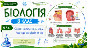 Сенсорні системи нюху, смаку. Рецептори внутрішніх органів. Презентація, інфографіка, робочий аркуш