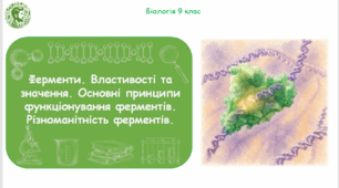 Презентація, конспект уроку та робочі аркуші на тему "Ферменти. Властивості та значення. Основні принципи функціонування ферментів. Різноманітність ферментів". 9 клас НУШ