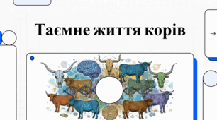 Всесвітній день корів: історія, інтелект та значення для сільського господарства