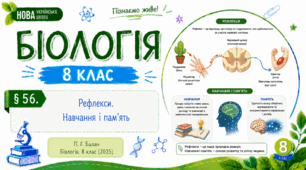 Рефлекси. Навчання і пам’ять. Презентація, інфографіка, робочий аркуш