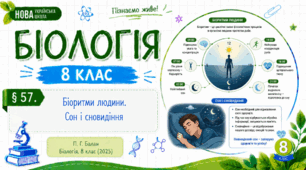 Біоритми людини. Сон і сновидіння.Презентація, інфографіка, робочий аркуш
