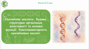 Презентація, конспект уроку та робочі аркуші на тему "Нуклеїнові кислоти. Будова, структурна організація, властивості та основні функції. Комплементарність нуклеїнових кислот". 9 клас НУШ