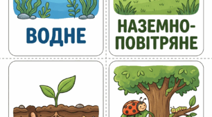 Картка для сортування «Види середовищ існування» (Адаптація для дітей з дислексією)