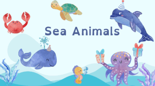 Sea animals for kids