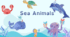 Sea animals for kids