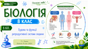 Будова та функції репродуктивної системи людини. Презентація, інфографіка, робочий аркуш