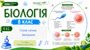 Статеві клітини. Запліднення. Презентація, інфографіка, робочий аркуш