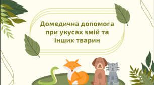 Презентація "Домедична допомога при укусах тварин"