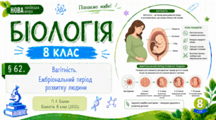 Вагітність. Ембріональний період розвитку людини. Презентація, інфографіка, робочий аркуш