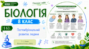 Постембріональний розвиток людини. Презентація, інфографіка, робочий аркуш