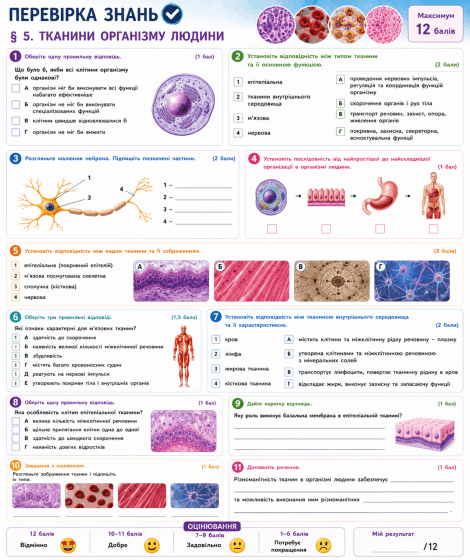 09026s1t-8600-940x1120.png