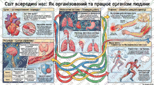 § 6. Органи, системи органів організму людини