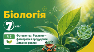 Фотосинтез. Рослини — фототрофи і продуценти. Дихання рослин. Презентація, інфографіка, робочий аркуш