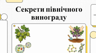 Універсальний аґрус: користь для здоров’я та посібник із вирощування