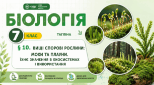 Вищі спорові рослини: мохи та плауни. Їхнє значення в екосистемах і використання. Презентація, інфографіка, робочий аркуш