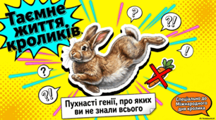 Все про кроликів: догляд, харчування та цікаві факти