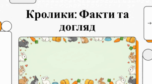 Все про кроликів: догляд, харчування та цікаві факти