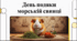 Відеоогляд "16 липня - День подяки морській свинці"
