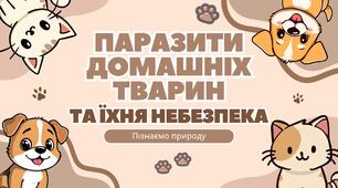 Презентація на тему: "Паразити домашніх тварин".