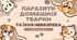 Презентація на тему: "Паразити домашніх тварин".