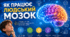 Як працює людський мозок: будова, функції та цікаві факти