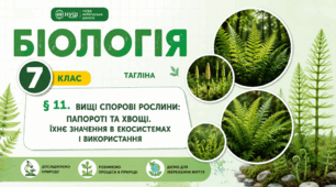 Вищі спорові рослини: папороті та хвощі. Їхнє значення в екосистемах і використання. Презентація, інфографіка, робочий аркуш