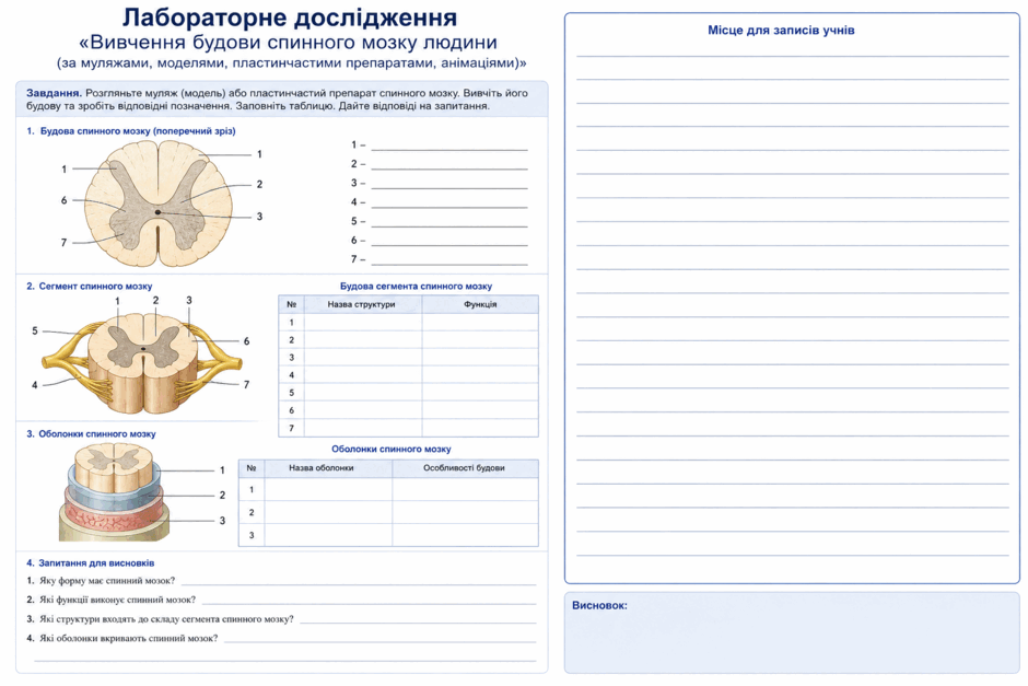 09026tn2-863d-940x627.png