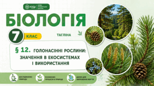 Голонасінні рослини: значення в екосистемах і використання. Презентація, інфографіка, робочий аркуш
