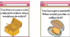 SEL-SPEAKING CARDS