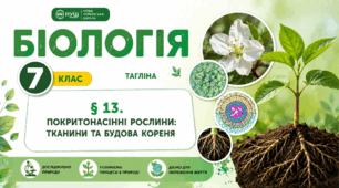 Покритонасінні рослини: тканини та будова кореня. Презентація, інфографіка, робочий аркуш