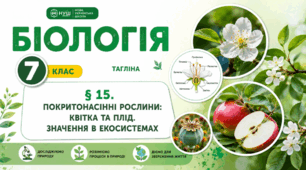 Покритонасінні рослини: квітка та плід. Значення в екосистемах. Презентація, інфографіка, робочий аркуш