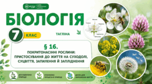Покритонасінні рослини: пристосування до життя на суходолі, суцвіття, запилення й запліднення. Презентація, інфографіка, робочий аркуш