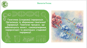 Презентація, конспект уроку та робочі аркуші на тему "Генетична (спадкова) інформація. Генетичні процеси, що забезпечують захист, самовідтворення, перерозподіл та реалізацію спадкової інформації". 9 клас НУШ