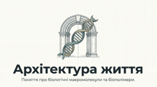 Органічні речовини та біополімери