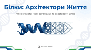 Амінокислоти та Білки: Архітектура Життя