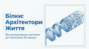 Амінокислоти та Білки: Архітектура Життя