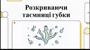 Відеоогляд "Губки"