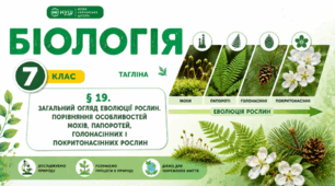 Загальний огляд еволюції рослин. Порівняння особливостей мохів, папоротей, голонасінних і покритонасінних рослин. Презентація, інфографіка, робочий аркуш