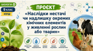 ПРОЄКТ👩‍🏫«Наслідки нестачі чи надлишку окремих хімічних елементів у живленні рослин або тварин» Біологія, 9 клас НУШ, Тагліна (презентація+інфографіка)