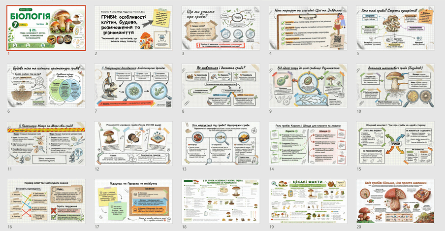 09026vg3-a153-904x469.png