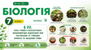 Роль грибів в екосистемах. Взаємовигідні відносини між рослинами та грибами. Корисні та шкідливі гриби. Презентація, інфографіка, робочий аркуш