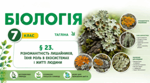 Різноманітність лишайників, їхня роль в екосистемах і житті людини. Презентація, інфографіка, робочий аркуш