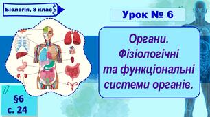 8 клас НУШ. Презентація до уроку з теми "Органи. Фізіологічні  та функціональні системи органів."