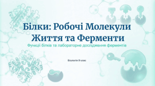 Функції білків та Ферменти