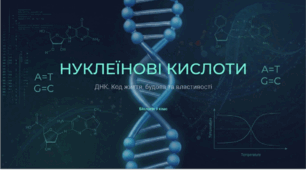 Нуклеїнові кислоти: Код життя