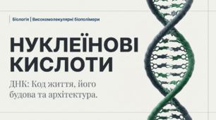 Нуклеїнові кислоти: Код життя